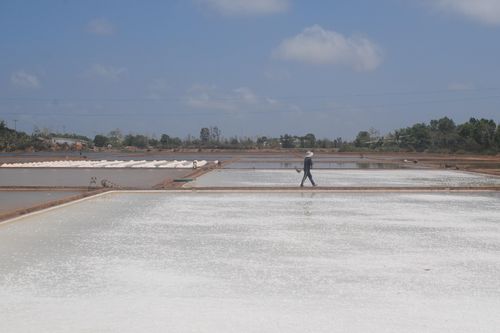 Công bố Di sản văn hóa phi vật thể quốc gia 'Nghề làm muối ở Bạc Liêu'