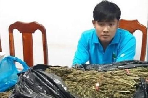 Bắt thanh niên nửa đêm vận chuyển hơn 10kg thảo mộc nghi cần sa