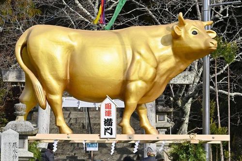 Thống kê thú vị về số người sinh năm Sửu của Nhật Bản