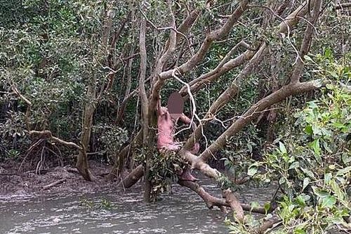 Người đàn ông trần như nhộng, ăn ốc sên sống giữa đầm đầy cá sấu