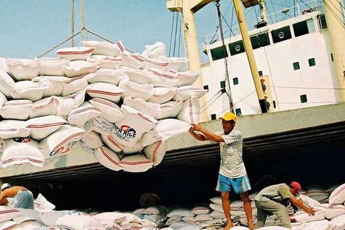 Việt Nam lần đầu tiên phải nhập gạo từ Ấn Độ