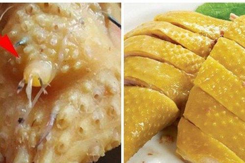 5 bộ phận cực độc của vịt, gà thèm mấy cũng không ăn kẻo rước bệnh vào người