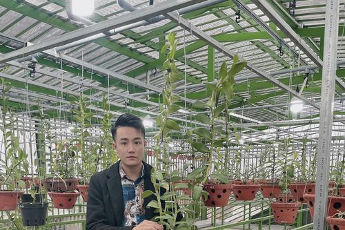 Trần Ngọc Thành hạnh phúc khi sống với niềm đam mê hoa lan