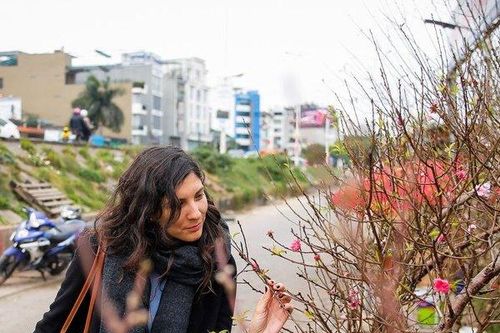 Đào tết xuống phố sớm, phục vụ Tết Nguyên đán