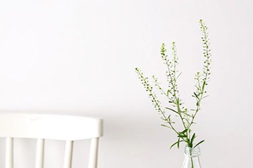 Sữa dê - Nguồn dinh dưỡng tốt cho bé và mẹ