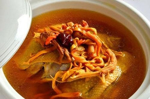 Cách chế biến gà hầm đông trùng hạ thảo thơm ngon, bổ dưỡng