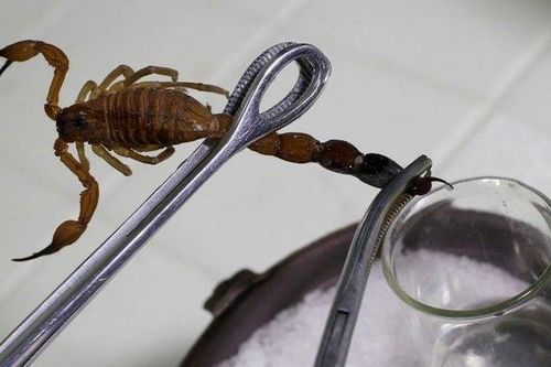 Chất lỏng đặc biệt siêu đắt đỏ có giá gần 237 tỷ đồng mỗi lít