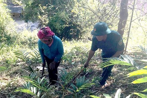 Mường Ðun chú trọng quản lý, bảo vệ rừng
