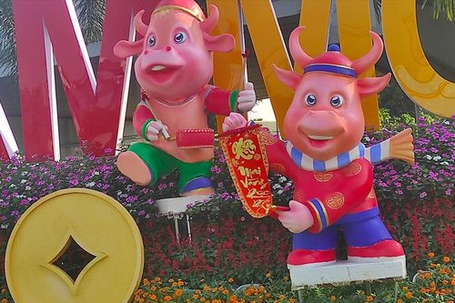 Hình ảnh 'Trâu mặc áo dài' tô điểm sắc xuân Tân Sửu ở TP HCM