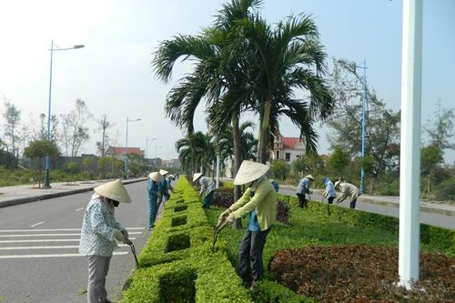 Duy trì, chỉnh trang hệ thống cây xanh, thảm cỏ, bảo đảm mỹ quan đô thị