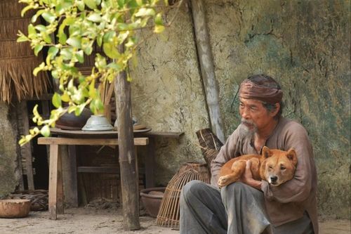 Thất vọng Cậu Vàng