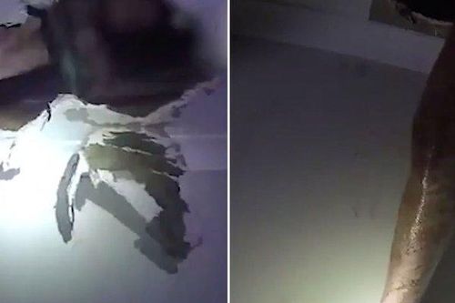 Tên trộm khóc thét cầu cứu vì… bị kẹt trên trần nhà