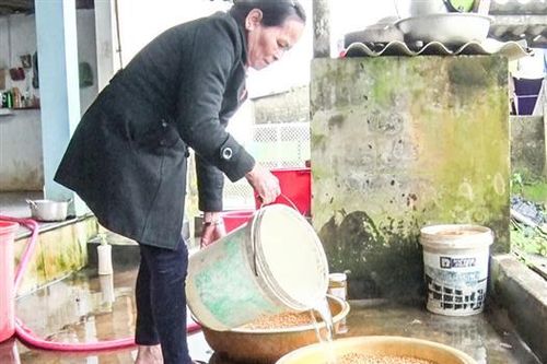 Tăng cường ứng phó với mưa rét đầu vụ đông xuân