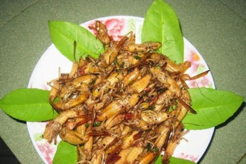 9 món ăn đặc sản của Yên Bái