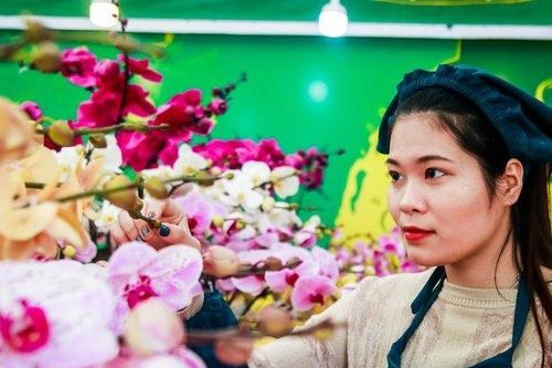 'Nữ hoàng loài lan' vượt 1000km ra Hà Nội phục vụ năm mới