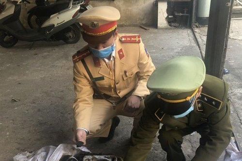 Phát hiện hơn 600kg mực ống đông lạnh bốc mùi, thối rữa đang trên đường tuồn ra thị trường