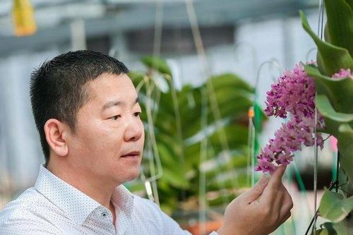 Doanh nhân Trần Ngọc Hà: Đến với lan từ tình yêu và đam mê