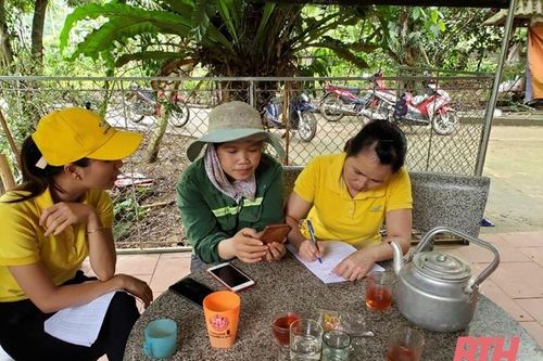 Đảng bộ Bảo hiểm xã hội tỉnh: Nâng cao năng lực lãnh đạo, hoàn thành tốt nhiệm vụ được giao