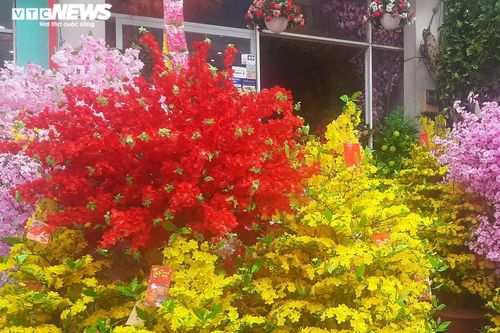 Phố hoa giả Sài Gòn rực rỡ ngày giáp Tết