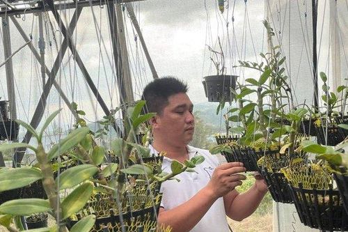 Lê Văn Nam: Khởi nghiệp từ sự quan sát thị trường tỷ mỉ