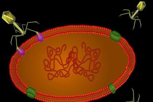 Phát hiện virus 'ngoài hành tinh' dưới đáy biển