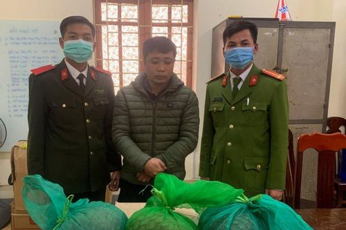 Vận chuyển 3 cá thể tê tê