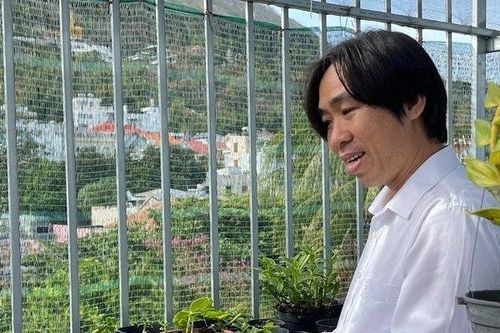 Vườn lan đáng mơ ước của ông chủ Nguyễn Huy Bình