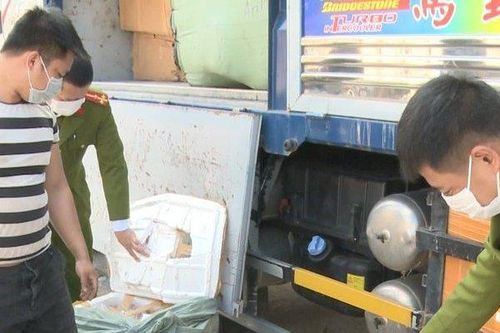 Phát hiện xe ô tô chở gần 1 tấn nội tạng động vật không rõ nguồn gốc