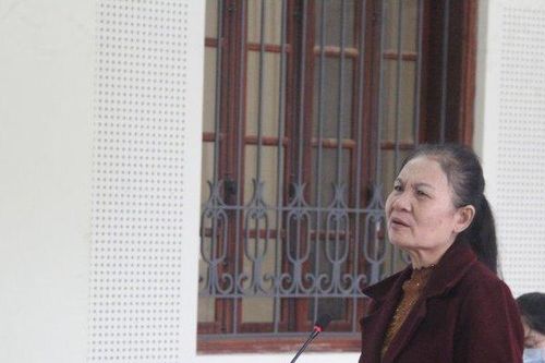 Lừa cầm cố xe ô tô con trai nuôi lấy 300 triệu đồng, 'nữ quái' hầu tòa