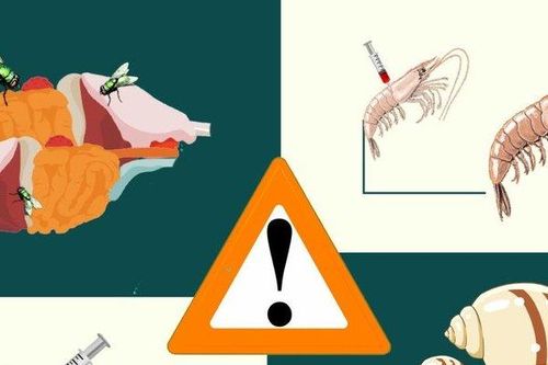 'Lật mặt' những thực phẩm bẩn dịp Tết Nguyên đán 2021