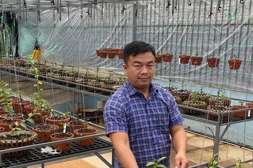 Vườn lan giá trị của chàng trai 8X Đô Ban Mê trên đất Buôn Ma Thuột