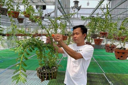 Chặng đường thành công của ông chủ vườn lan Phạm Minh Minh