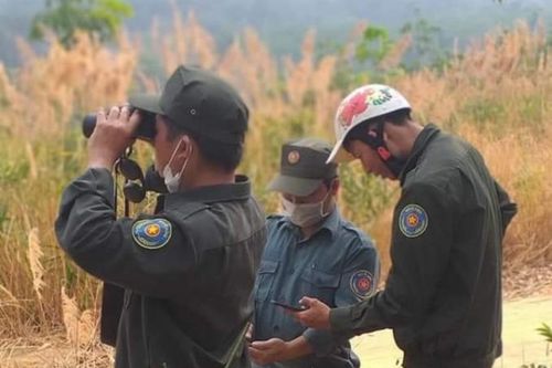 Công ty TNHH Một thành viên Lâm nghiệp Ia H'Drai: Công tác bảo vệ rừng được đặt lên hàng đầu