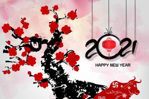 Những lời chúc Tết Nguyên đán hay, ý nghĩa dành cho người yêu