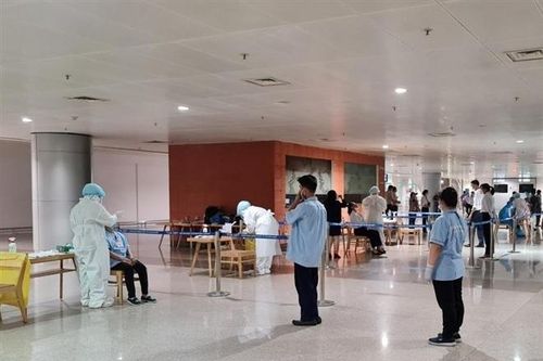 Hai phương án nhân sự để Tân Sơn Nhất hoạt động bình thường dịp Tết Nguyên đán