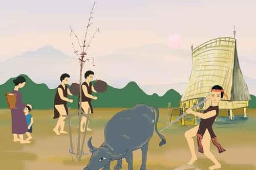 Hình ảnh con trâu trong văn hóa Bahnar