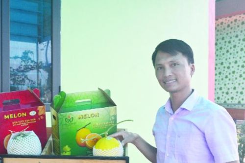 Vàng trong đất