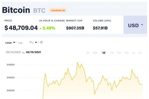 Giá Bitcoin hôm nay 15/2: Lập đỉnh mới, tiến sát 50.000 USD