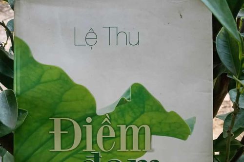 Tết đọc sách: Mùa xuân trong 'Điềm đạm Việt Nam'