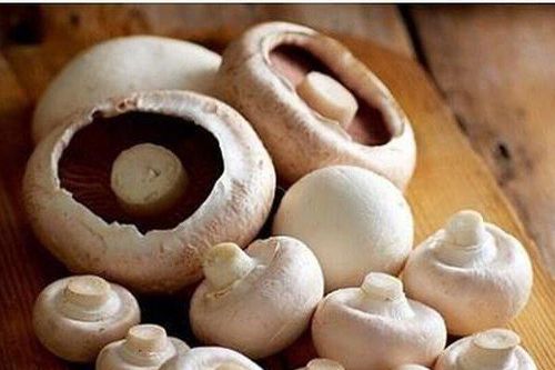 Bí quyết bảo quản các loại nấm để cả tháng vẫn tươi