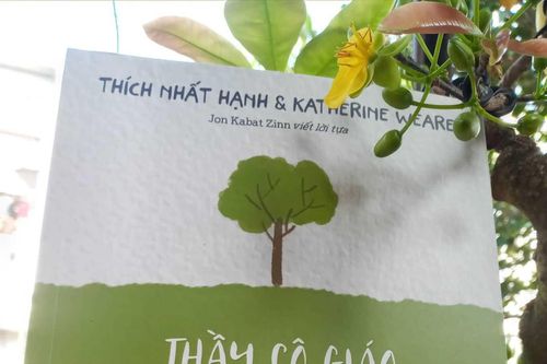 Tết đọc sách: 'Thầy cô giáo hạnh phúc sẽ thay đổi thế giới'
