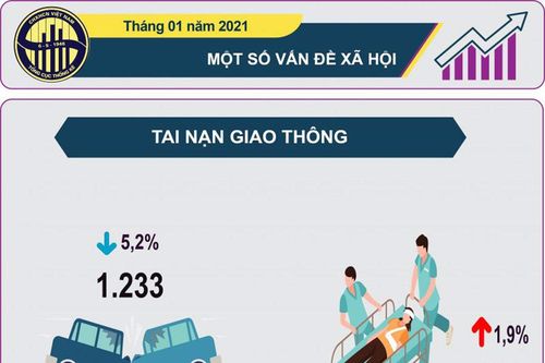 Infographic: Một số vấn đề xã hội tháng 1/2021