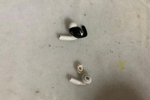 Bị cây đổ đè chết khi đang đeo tai nghe chống ồn