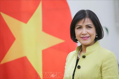 Việt Nam đề cao vai trò của Hội nghị Liên hợp quốc về Thương mại và Phát triển