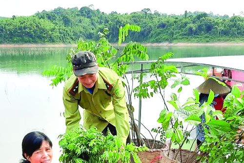 Bí quyết giữ rừng của lính kiểm lâm Vườn Quốc gia Bến En