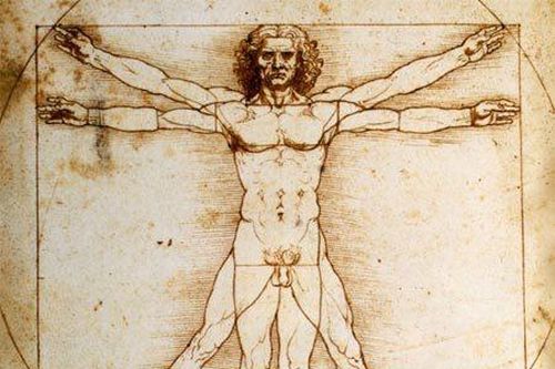 Khám phá bác bỏ 'Người Vitruvius' của Da Vinci là hoàn hảo