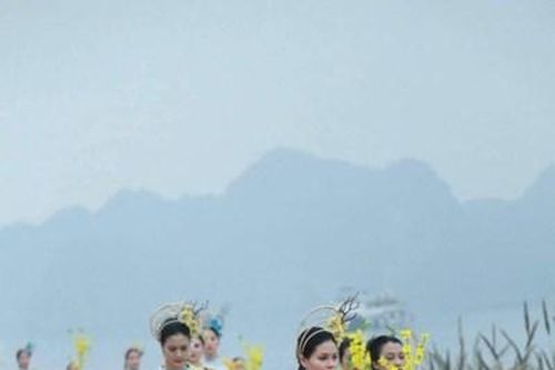 Tôn vinh vẻ đẹp mai vàng Yên Tử