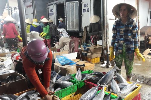 Ninh Thuận: Nhiều mặt hàng thủy, hải sản tăng giá sau Tết