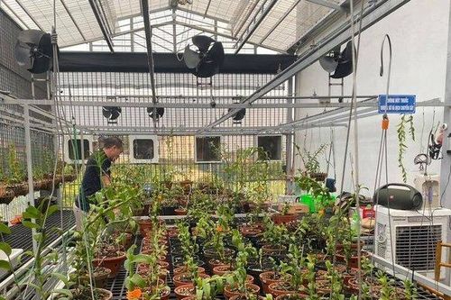 Đỗ Việt Đức–từ anh công nhân nghèo khởi nghiệp làm giàu từ trồng hoa lan