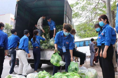 Tuổi trẻ Bắc Ninh hỗ trợ 'giải cứu' nông sản cho bà con Hải Dương